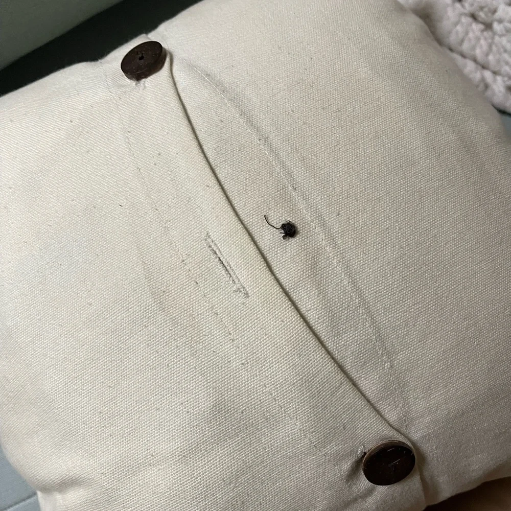 West Elm Gold and Cream Decorative Pillow Cover ONLY